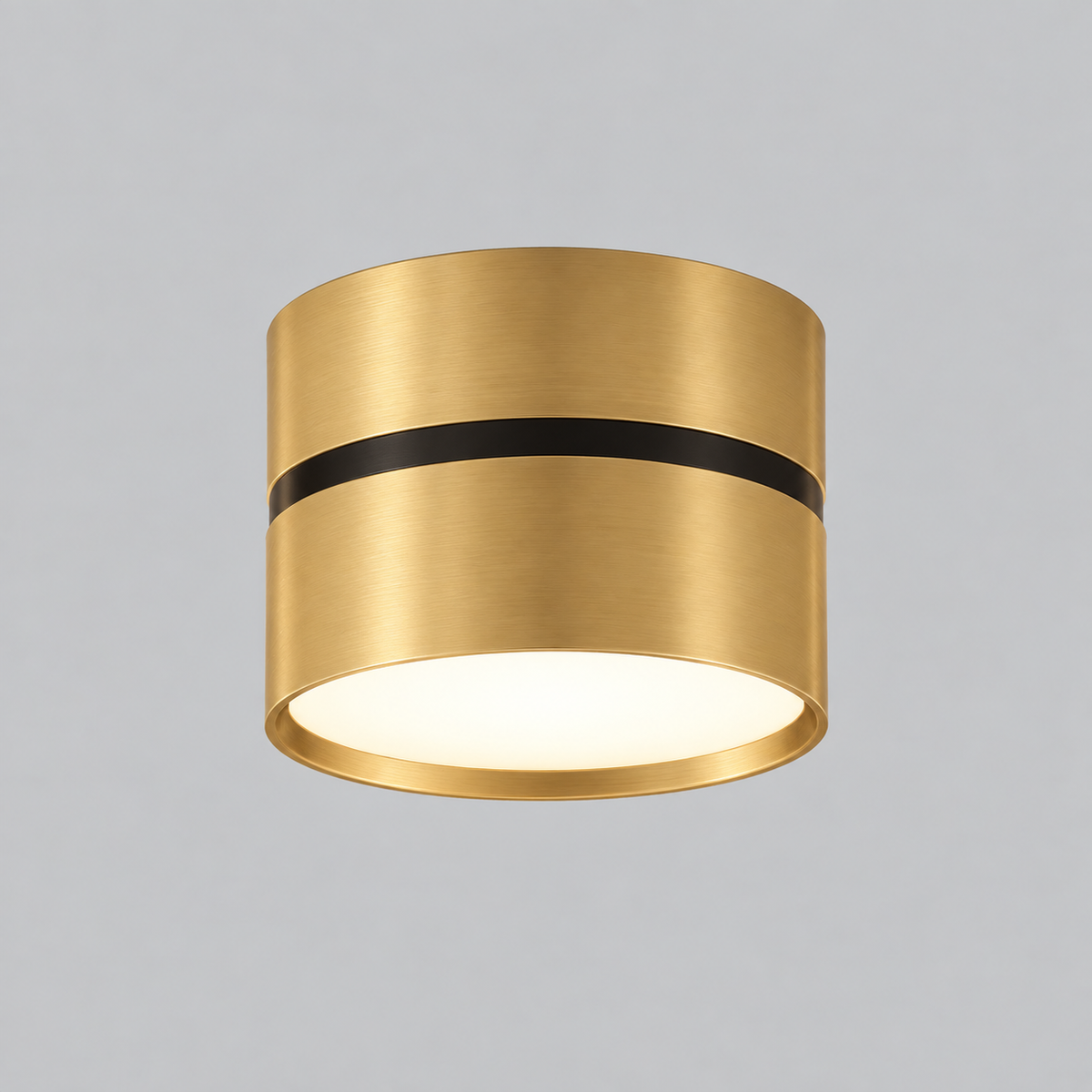 Chamany Downlight