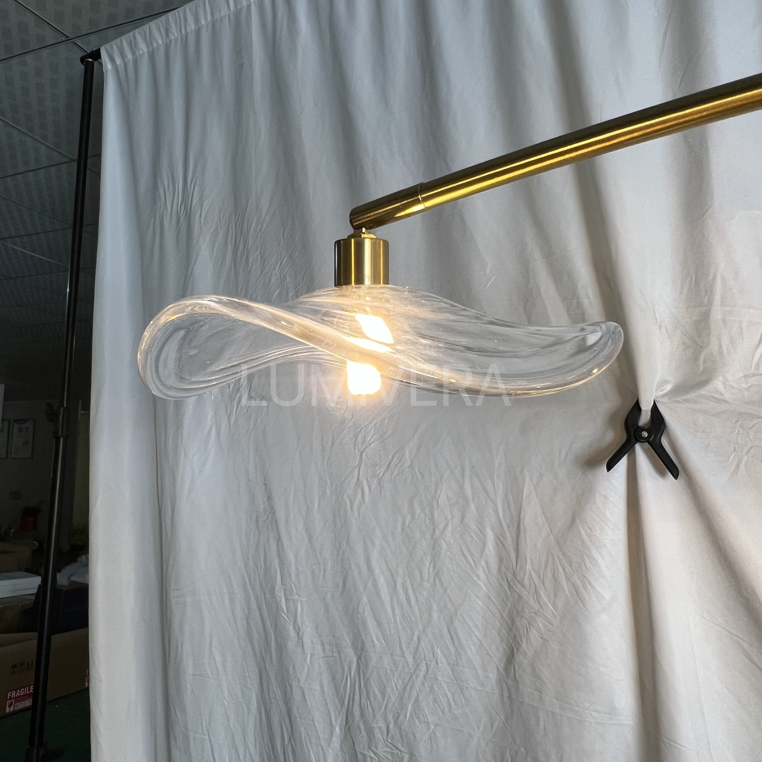 Groweric Clear Glass Flushmount