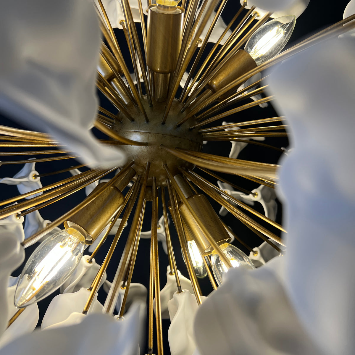 Lunaria Chandelier