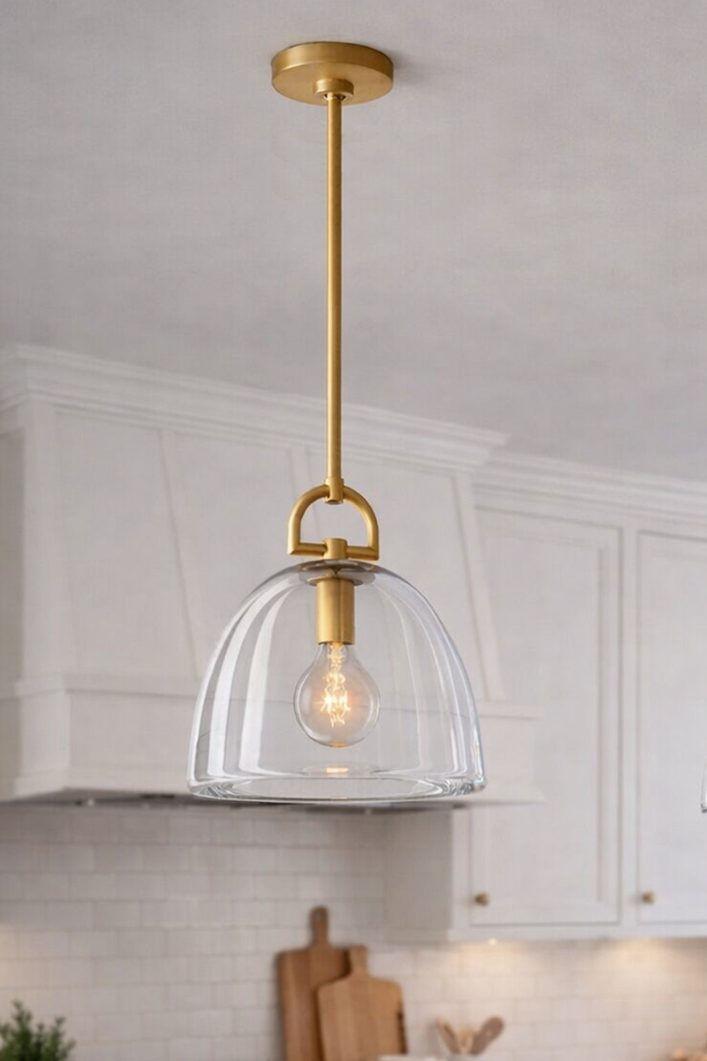 Botanise Dome Pendant