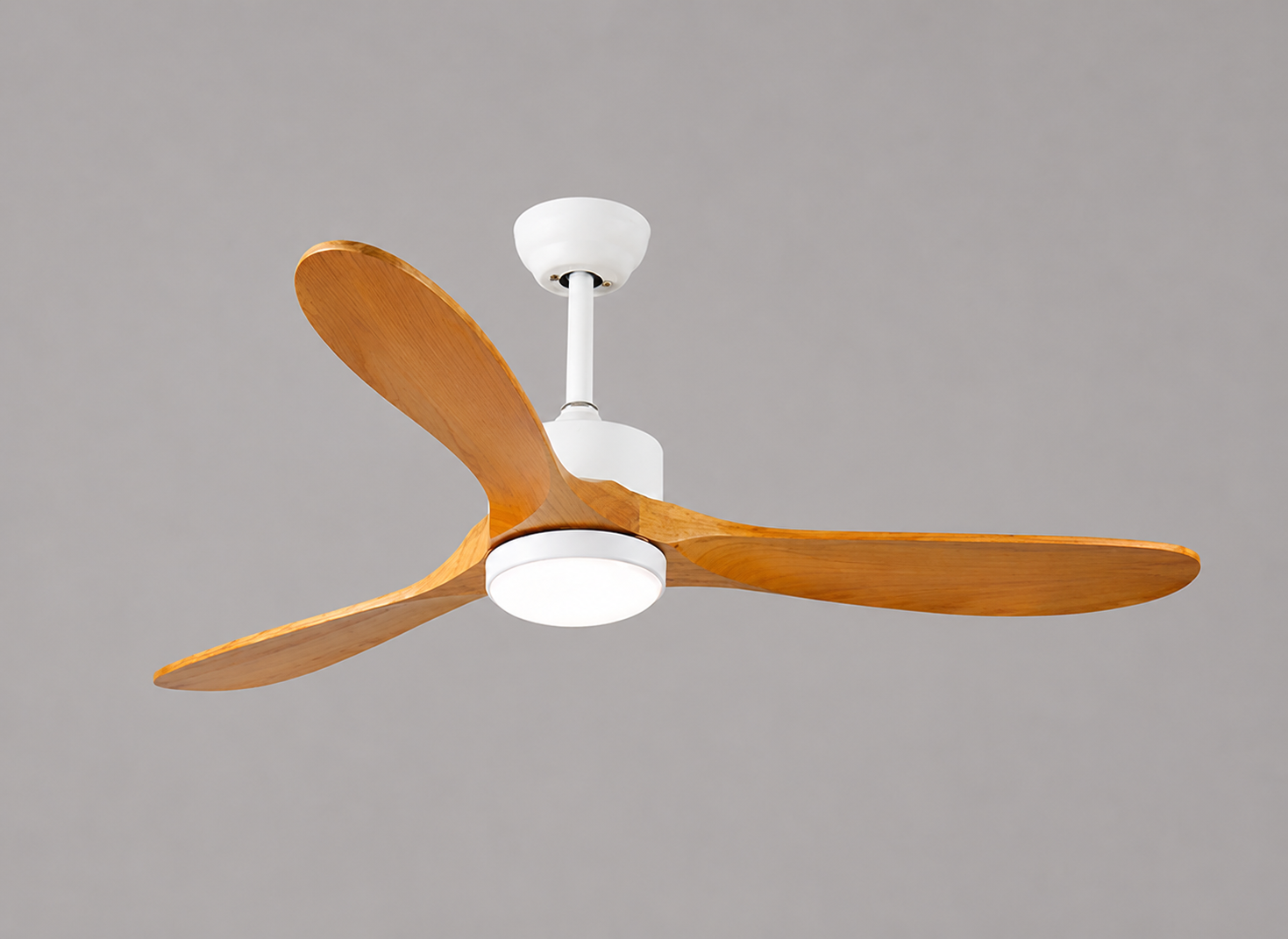 Venturoa Ceiling Fan
